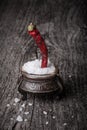 Sea Ã¢â¬â¹Ã¢â¬â¹salt in a large antique salt shaker and hot red pepper Royalty Free Stock Photo